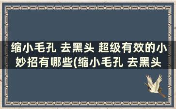 缩小毛孔 去黑头 超级有效的小妙招有哪些(缩小毛孔 去黑头 超级有效的小妙招)